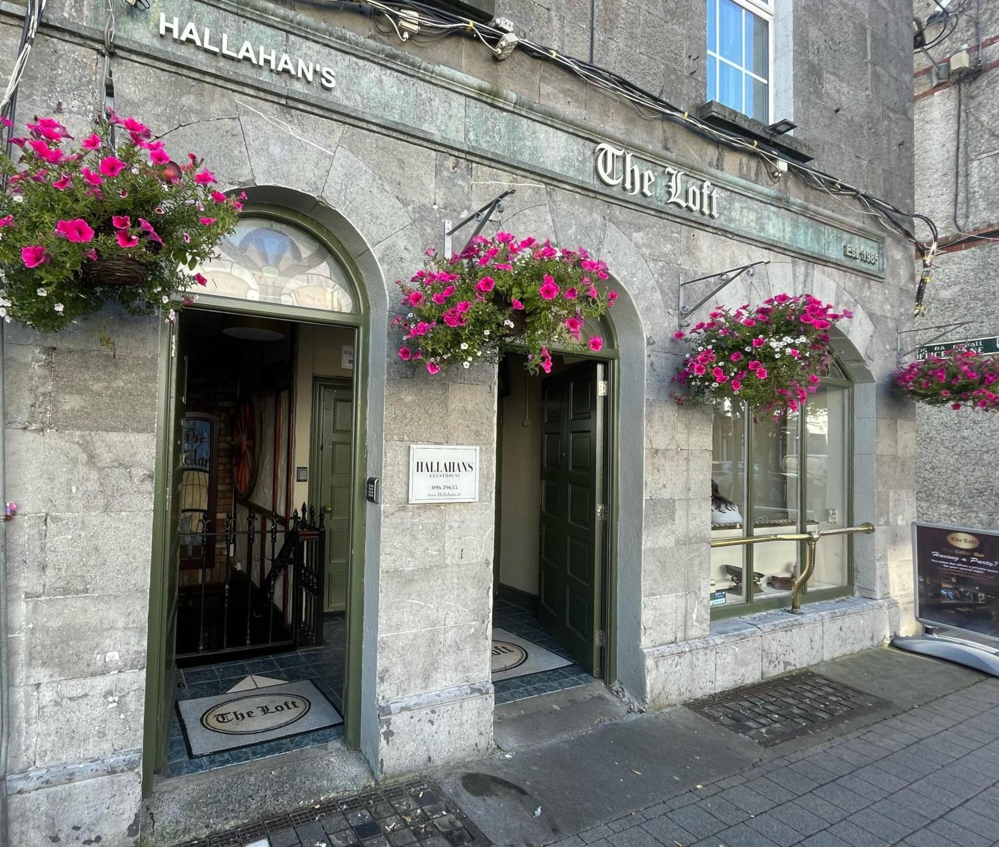 Hallahan'S Ballina  Luaran gambar